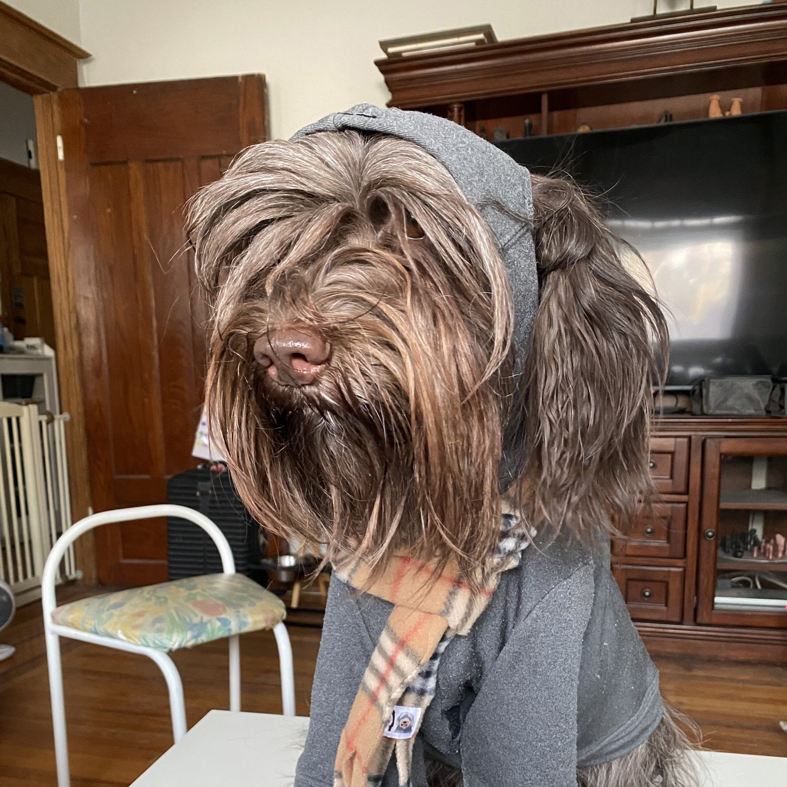 Lucylle