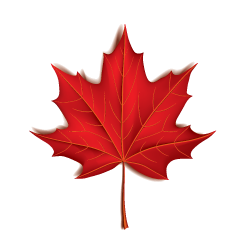 Red maple leaf icon